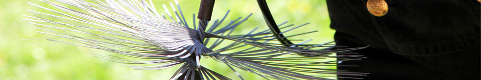 Banner - Michael Quindeau